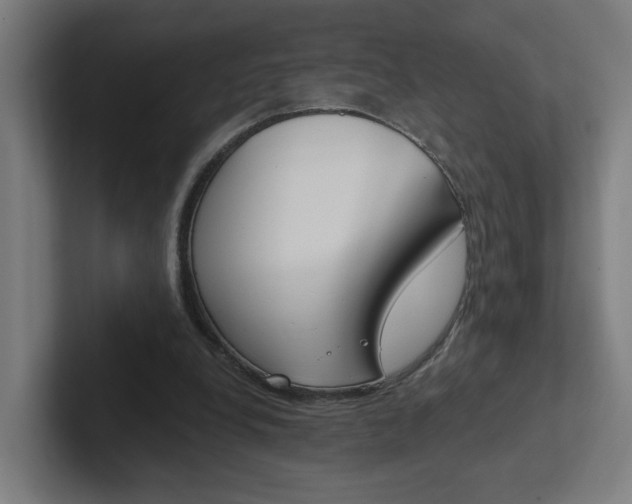 X0000102400248200808011001