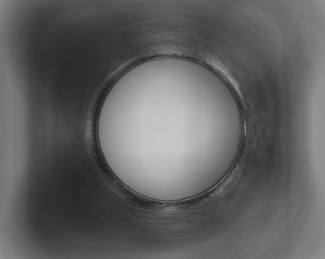 X0000102400249200808011001