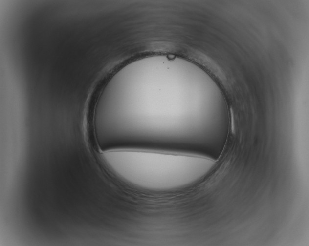 X0000102400252200808011001