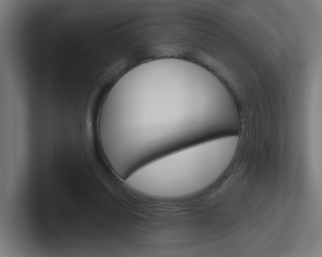 X0000102400254200808011001