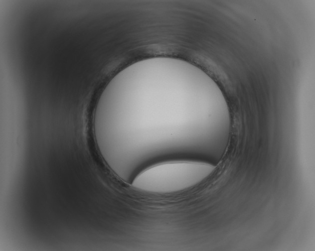 X0000102400255200808011001