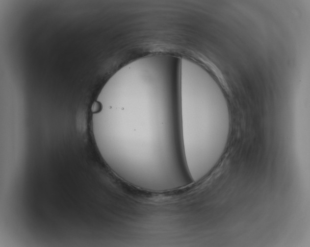 X0000102400257200808011001