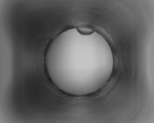 X0000102400259200808011001