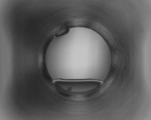 X0000102400260200808011001