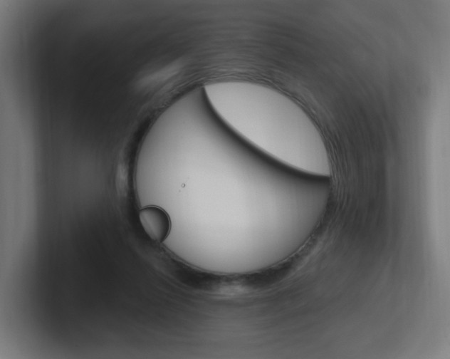 X0000102400262200808011001