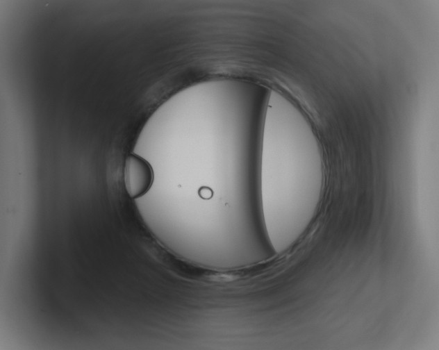 X0000102400265200808011001