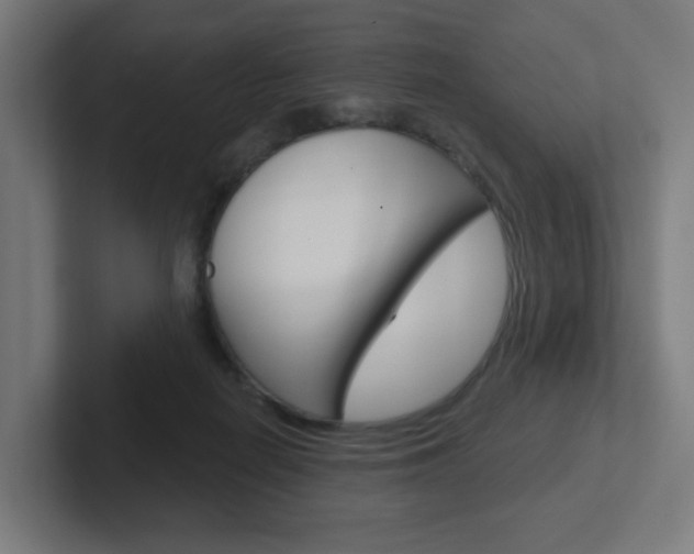 X0000102400266200808011001