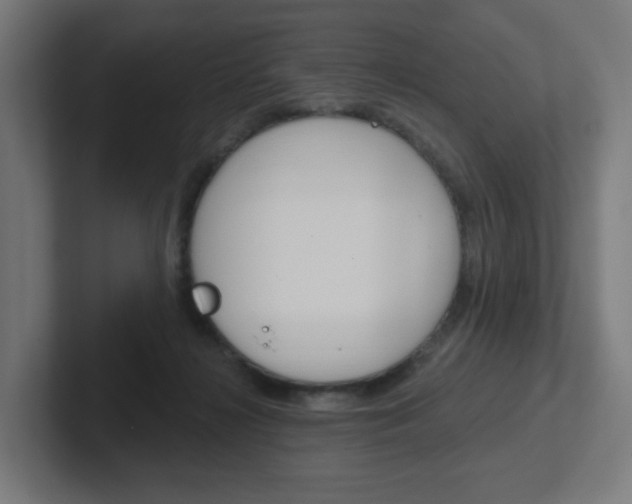 X0000102400268200808011001