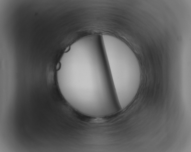 X0000102400269200808011001
