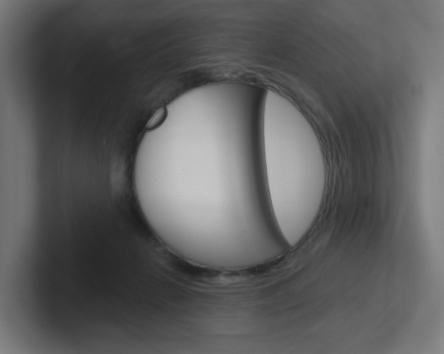 X0000102400270200808011001