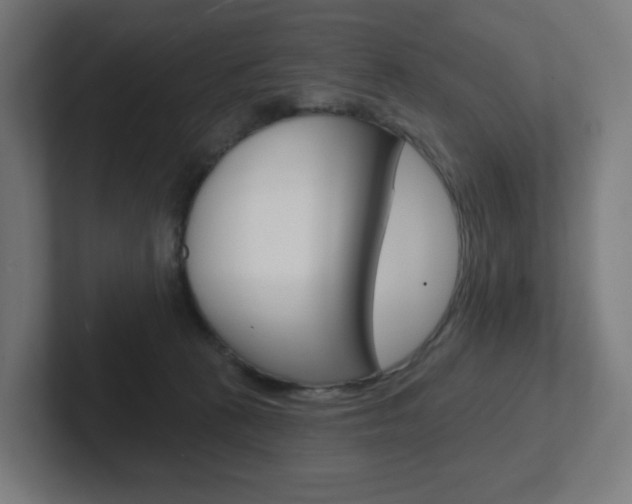 X0000102400273200808011001