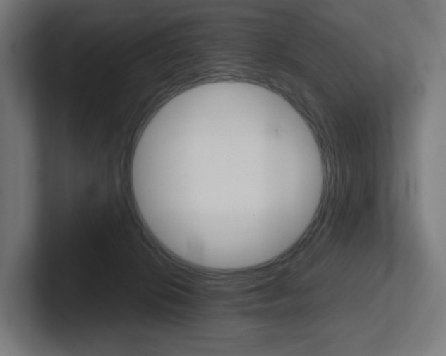 X0000102400276200808011001