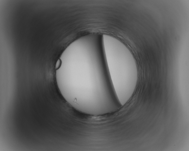 X0000102400277200808011001