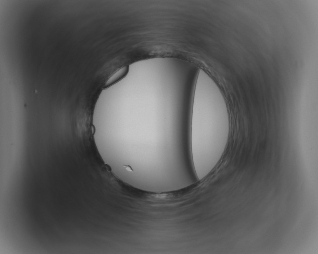 X0000102400281200808011001