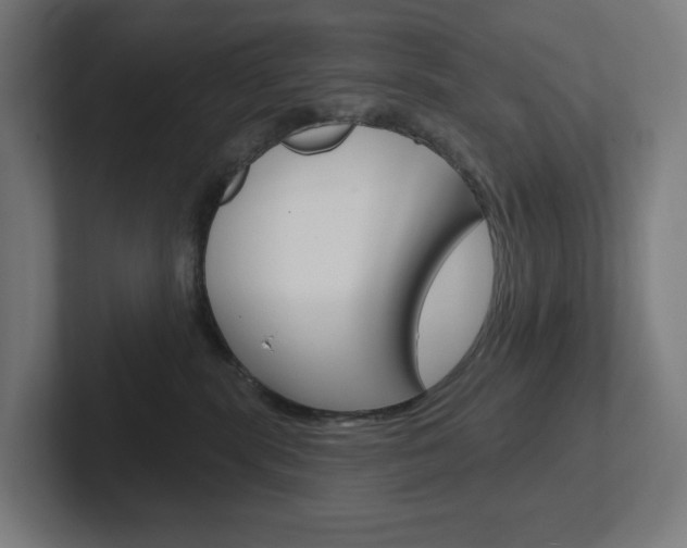 X0000102400283200808011001
