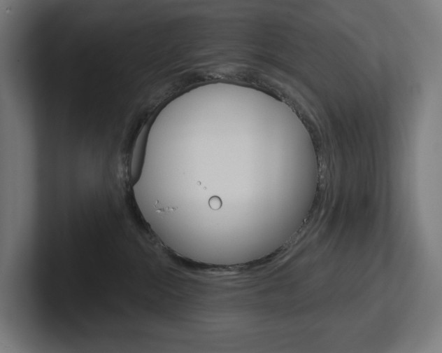 X0000102400284200808011001