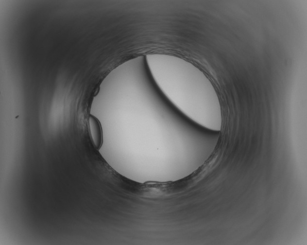 X0000102400285200808011002