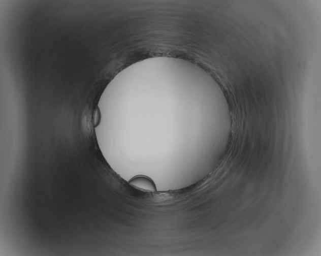 X0000102400287200808011002
