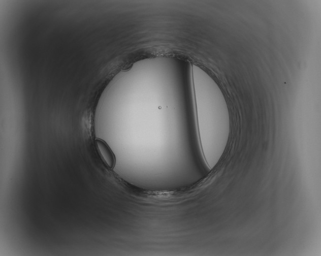 X0000102400288200808011002