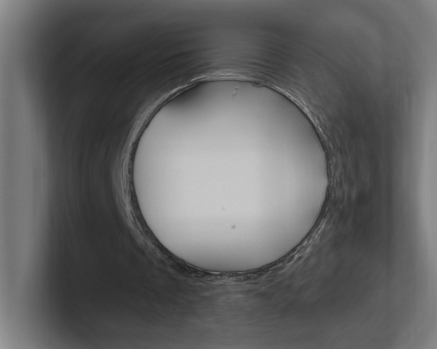 X0000102400289200808011001