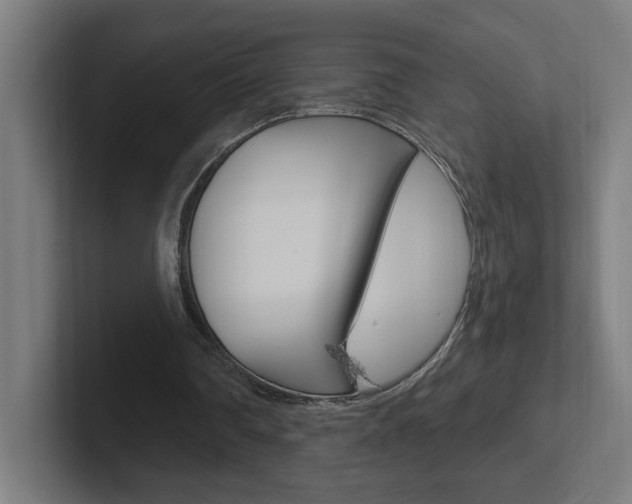 X0000102400290200808011001