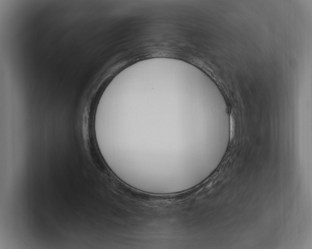 X0000102400291200808011001