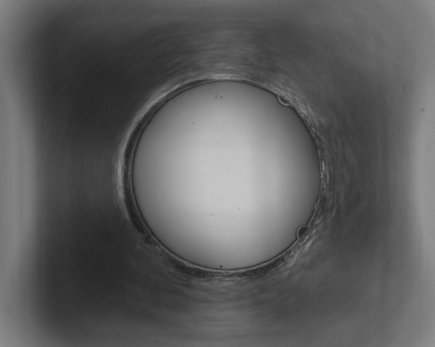 X0000102400292200808011001