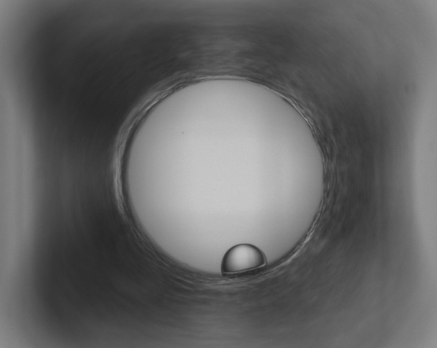 X0000102400293200808011001
