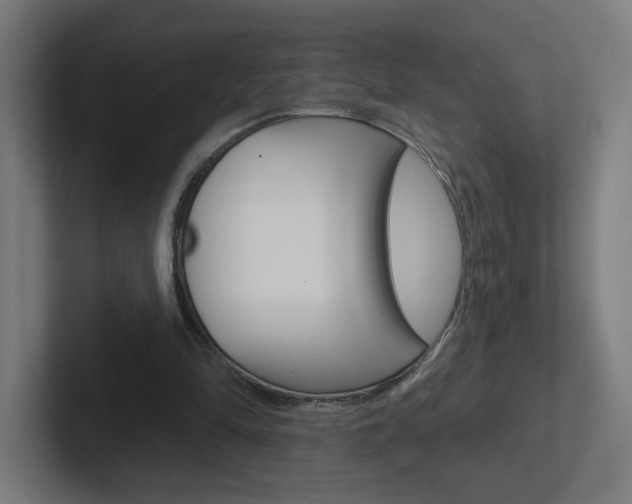 X0000102400294200808011001