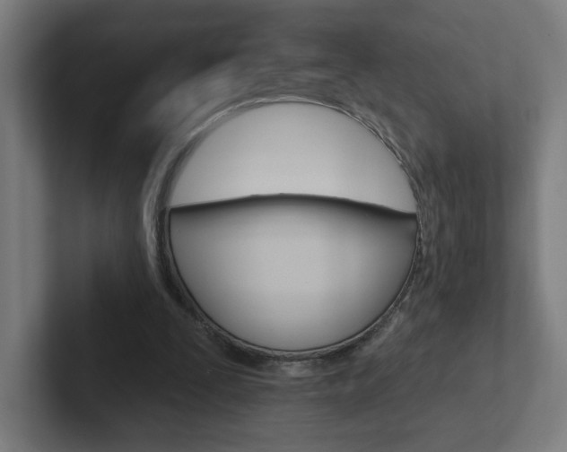 X0000102400295200808011001