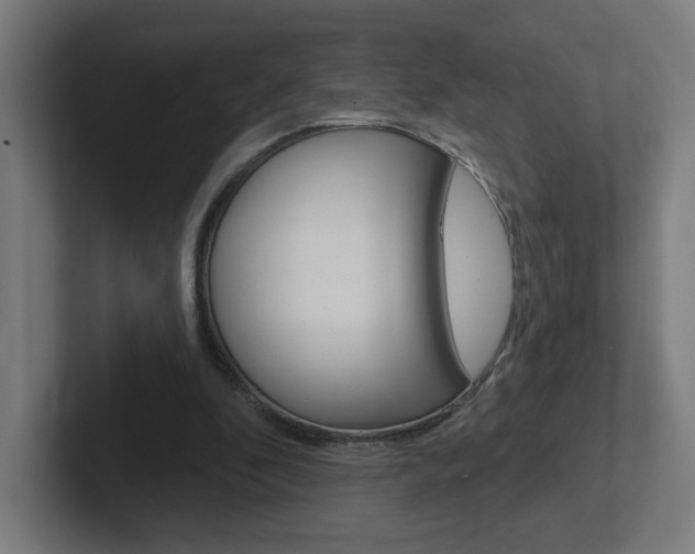 X0000102400296200808011001