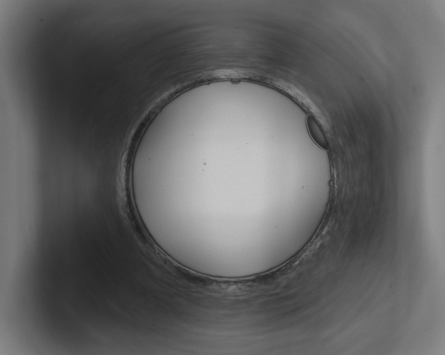 X0000102400297200808011001
