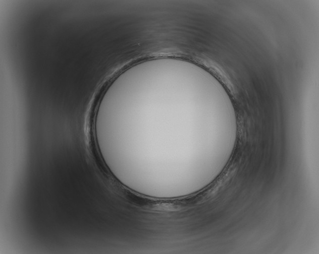 X0000102400298200808011001