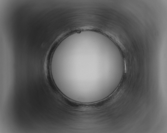 X0000102400300200808011000