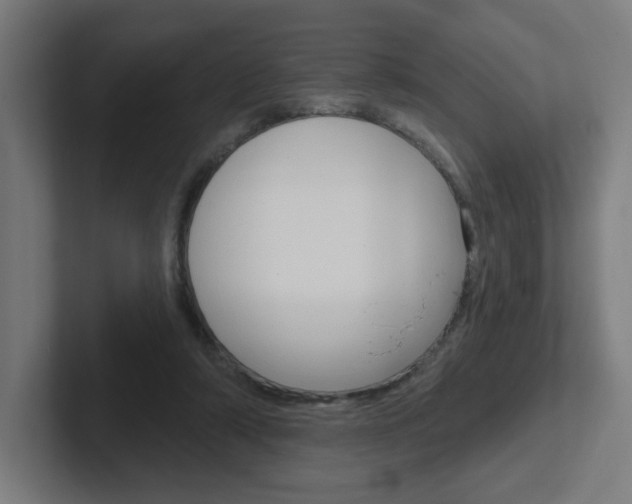 X0000102400306200808011000