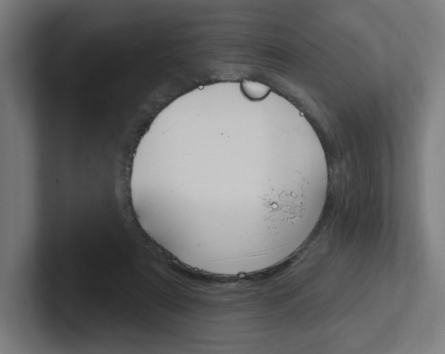 X0000102400307200808011000