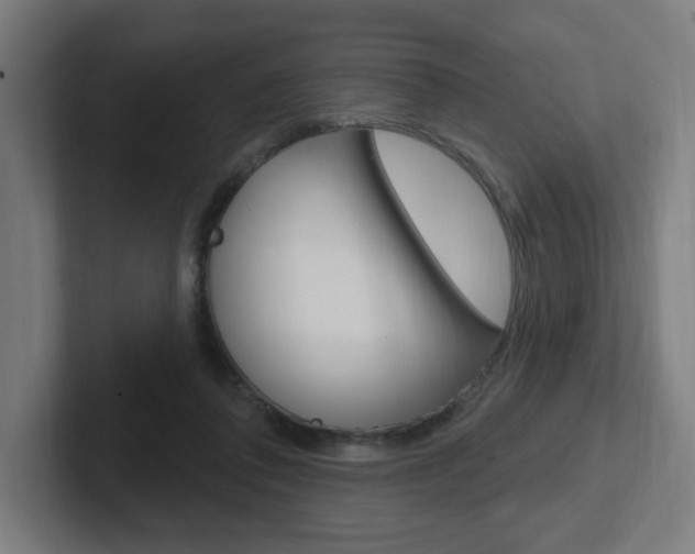 X0000102400308200808011000