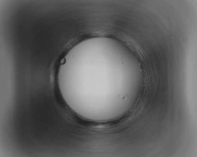 X0000102400312200808011000