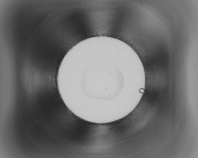 X0000102400313200808011000