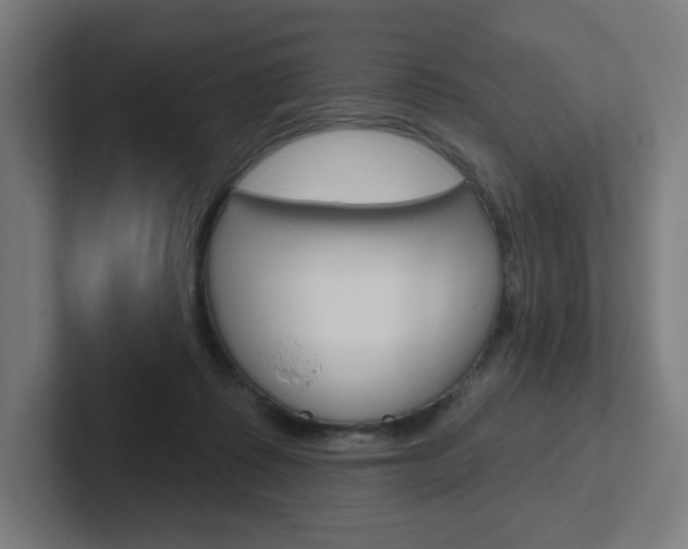 X0000102400315200808011000