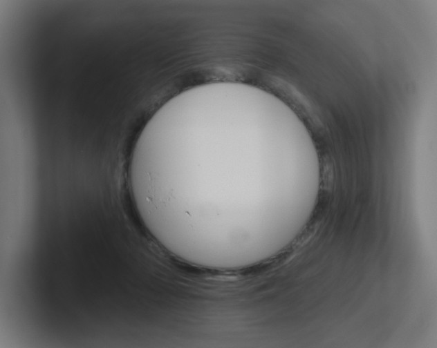 X0000102400318200808011000