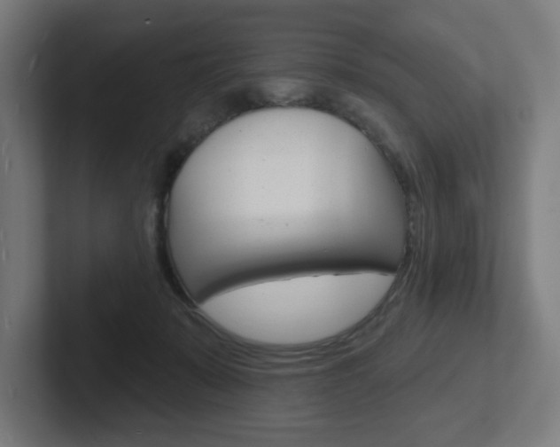 X0000102400319200808011000