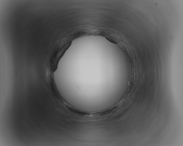 X0000102400320200808011000