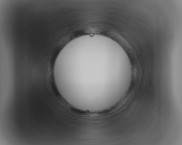 X0000102400322200808011000