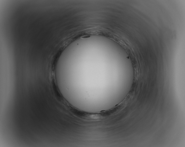 X0000102400324200808011000