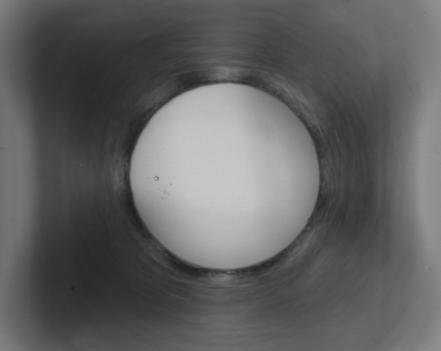 X0000102400325200808011000