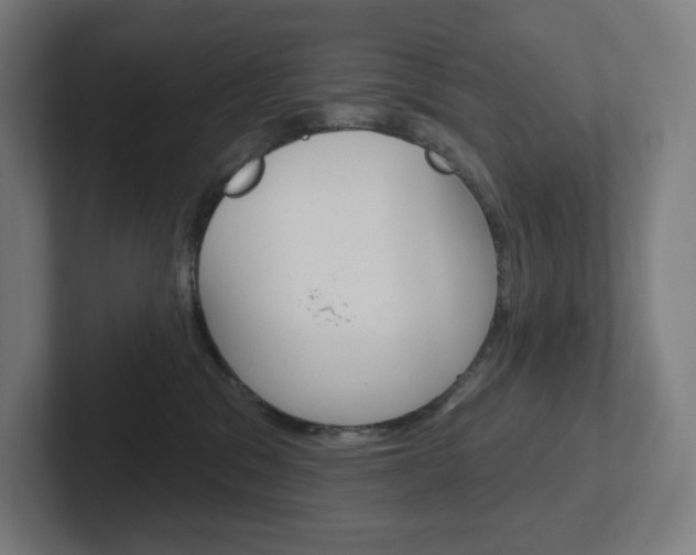 X0000102400329200808011000