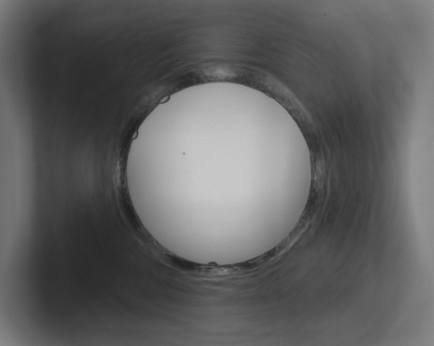 X0000102400330200808011000