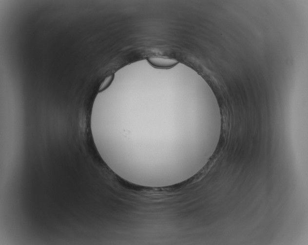 X0000102400331200808011000