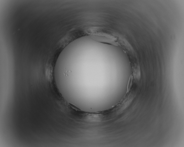 X0000102400332200808011000